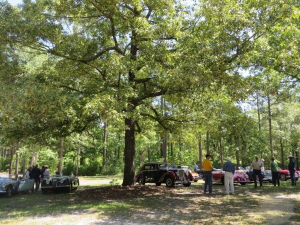 18-Under-the-trees-at-St.Thomas.St_.Denis-Church.people-1024x768